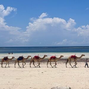 WE ARE BACK! FIRST LIVE SHOW FRIDAY, MARCH 20 AT 9 AM MDT